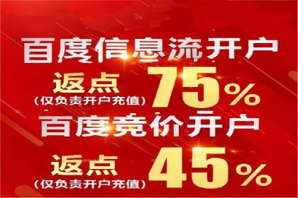 竞价广告赚钱攻略：百度平台实战案例
