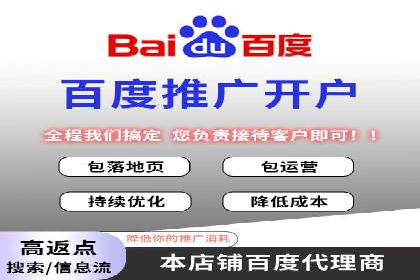 低成本高回报：百度竞价代理成功案例分析